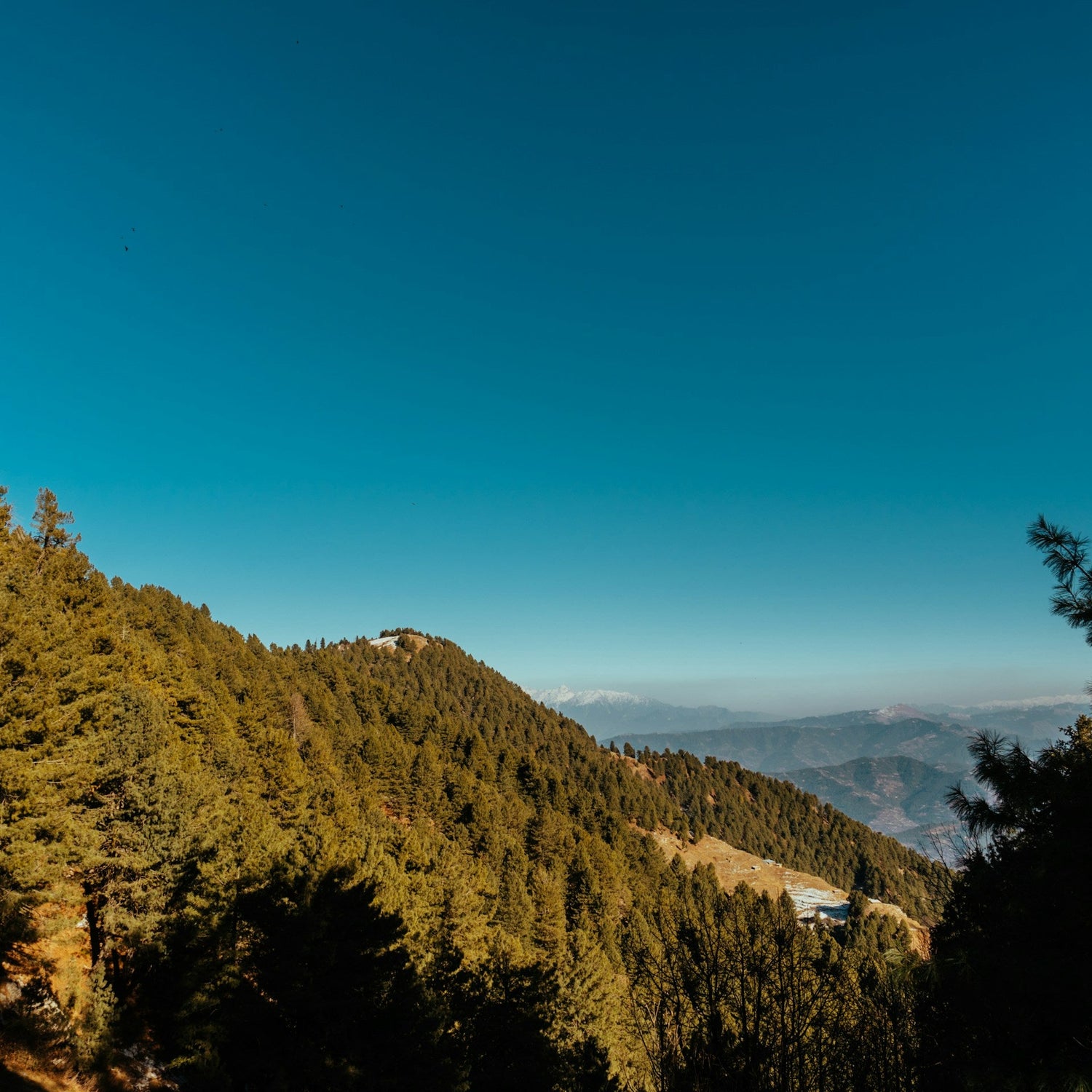 Himachal Getaways